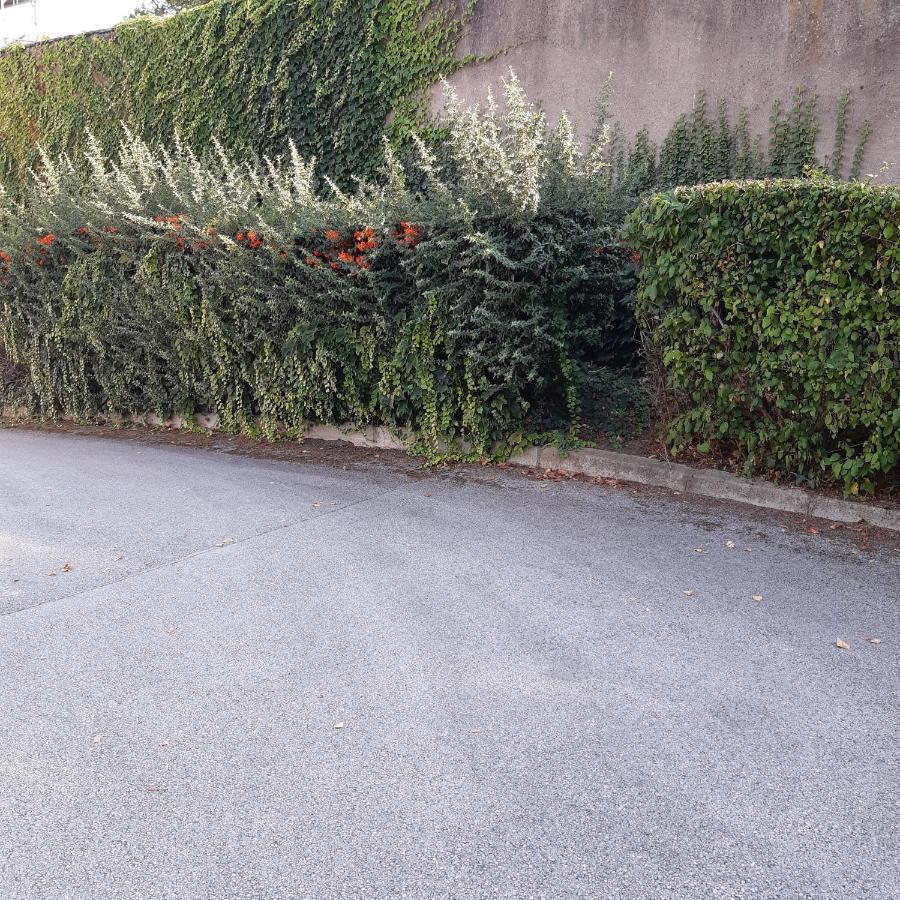 Le Phenix A Internet Haut Debit & Parking 第戎 外观 照片